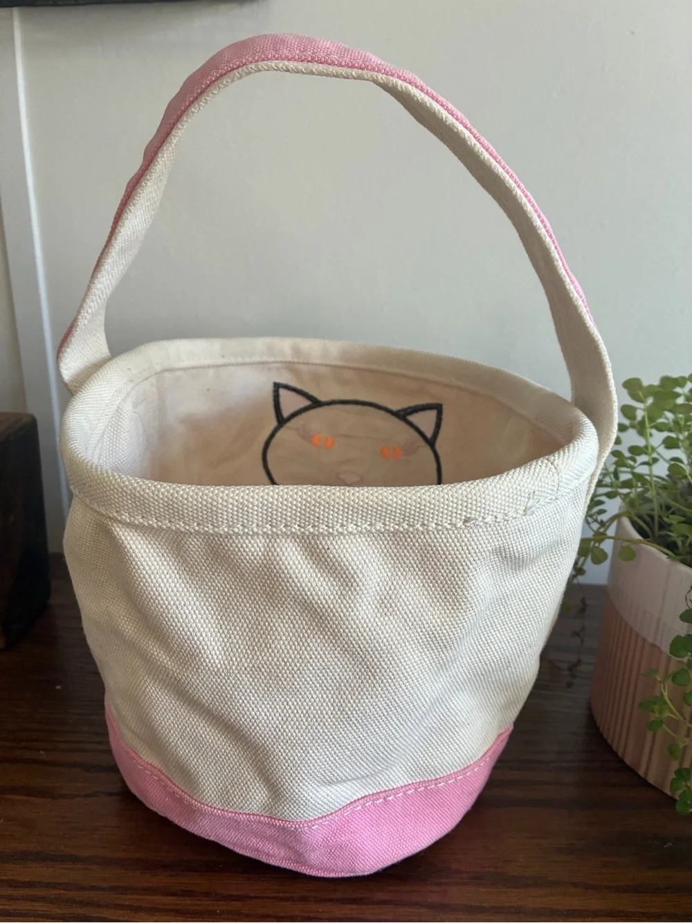Lands End canvas tote
